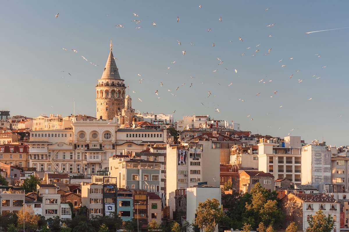 Istanbul historic skyline