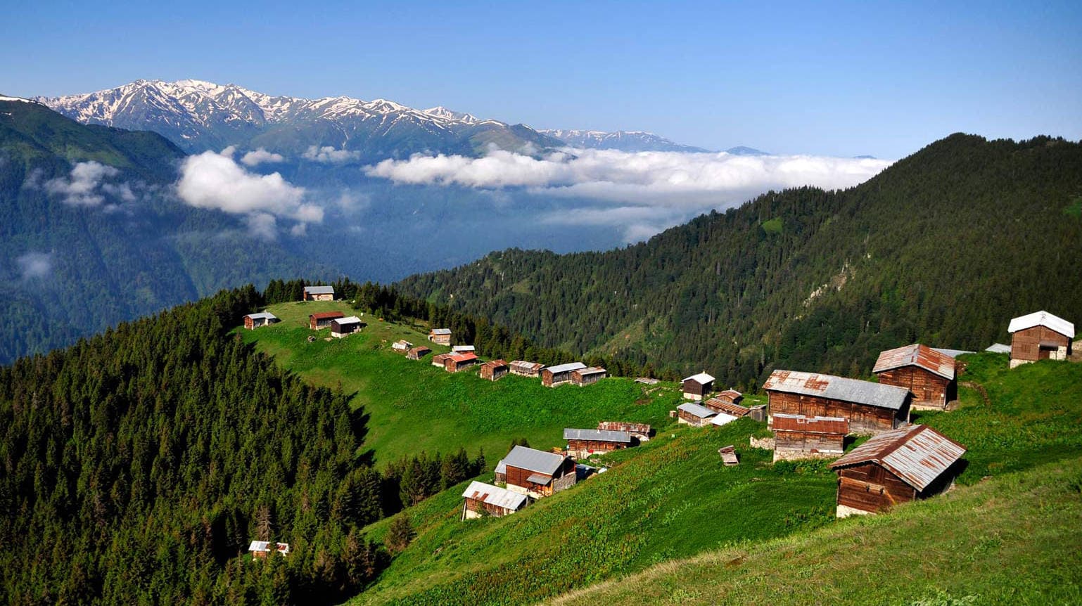 Traditional wooden alpine chalets perched on high green plateaus above sea of clouds